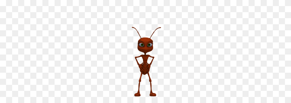 Ant Animal, Person Png Image