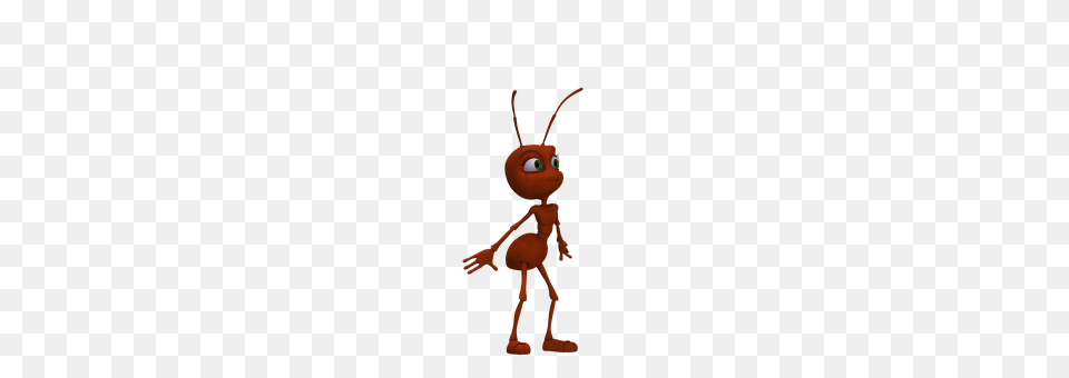 Ant Animal, Person Png