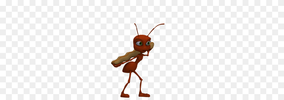 Ant Animal, Person Png