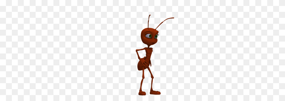 Ant Animal, Person, Insect, Invertebrate Png