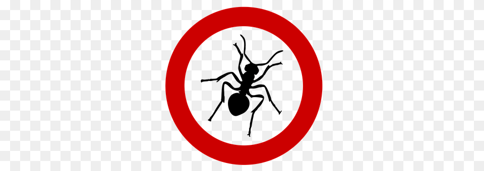 Ant Symbol, Sign, Disk Free Png Download