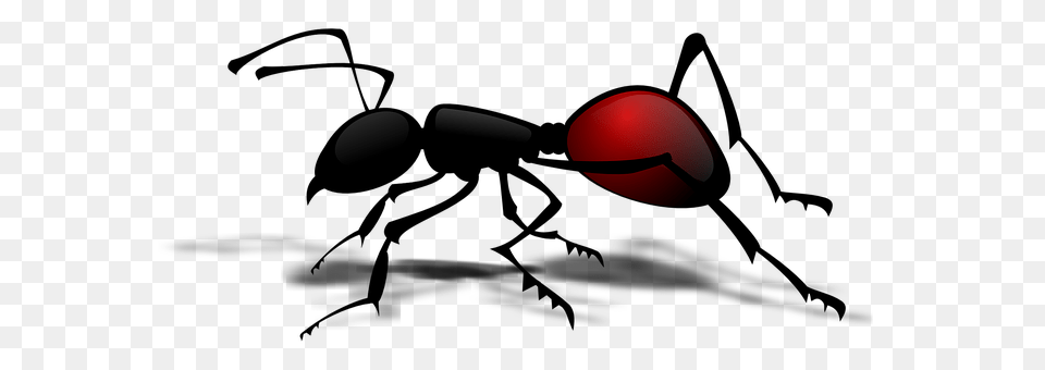 Ant Sphere, Astronomy, Moon, Nature Free Png Download