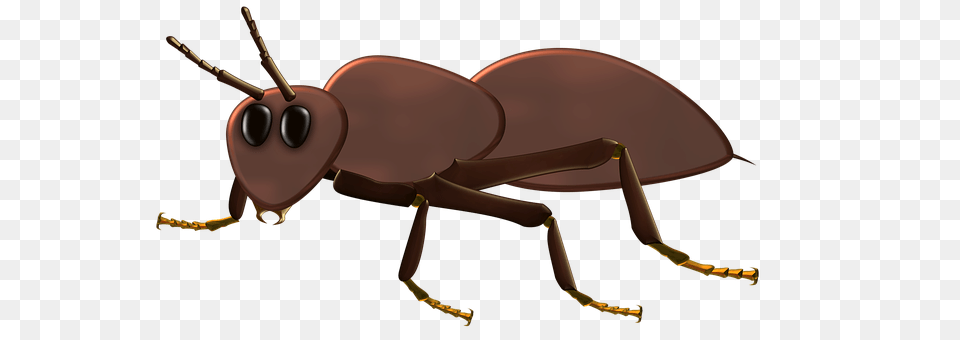 Ant Animal, Appliance, Ceiling Fan, Device Free Transparent Png