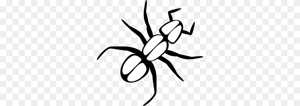 Ant Lighting, Stencil Png