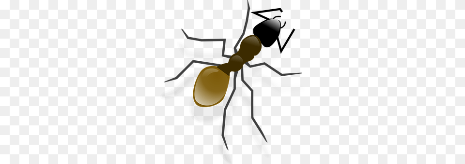 Ant Animal, Insect, Invertebrate, Chandelier Free Png Download