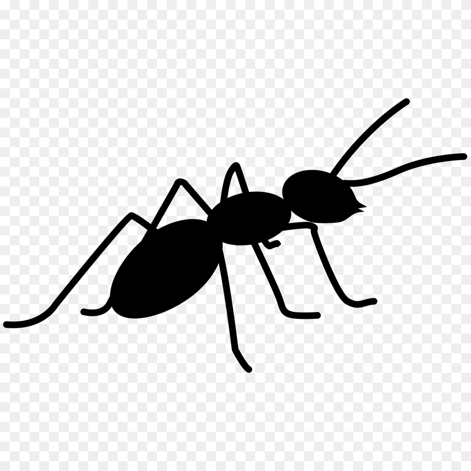 Ant, Gray Free Transparent Png