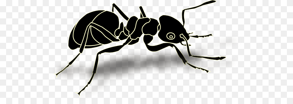 Ant Animal, Insect, Invertebrate, Accessories Free Png