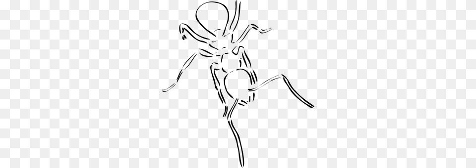 Ant Gray Free Png