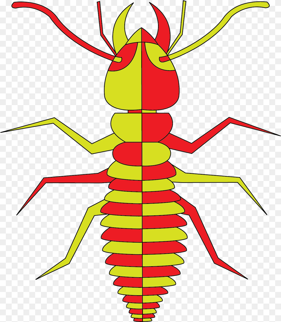 Ant, Animal Free Transparent Png