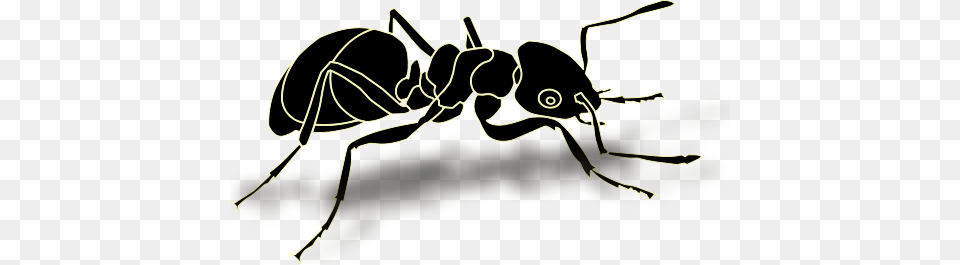 Ant, Animal, Insect, Invertebrate Png Image
