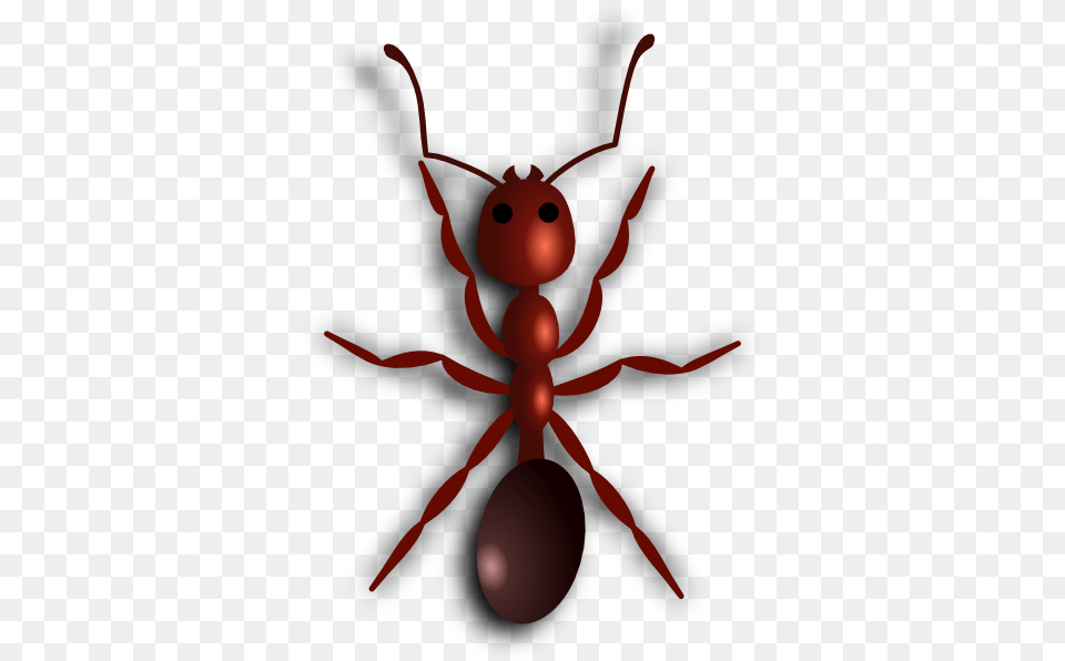 Ant, Animal, Insect, Invertebrate, Spider Png Image