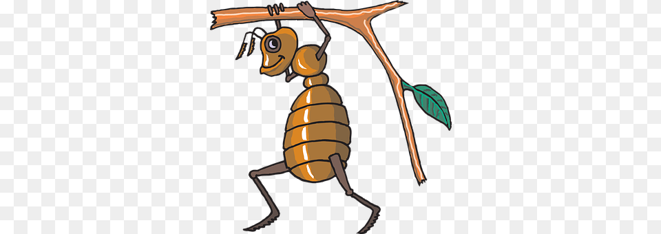Ant Animal, Bee, Honey Bee, Insect Free Transparent Png