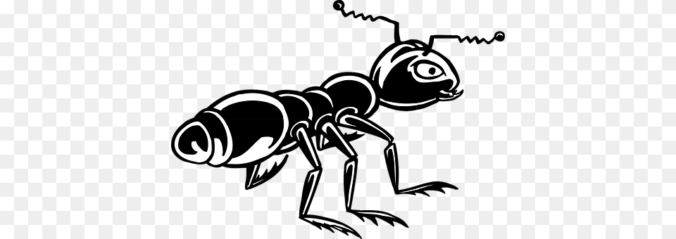 Ant Stencil, Animal Png