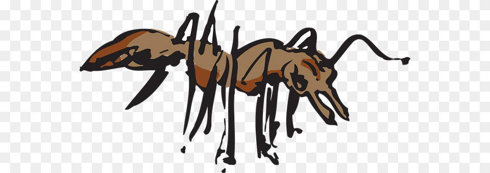 Ant Animal, Insect, Invertebrate, Person Png Image