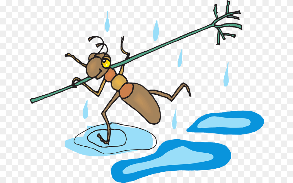 Ant, Animal, Bee, Insect, Invertebrate Free Png Download