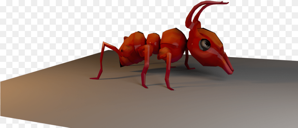 Ant, Animal, Insect, Invertebrate Free Png Download