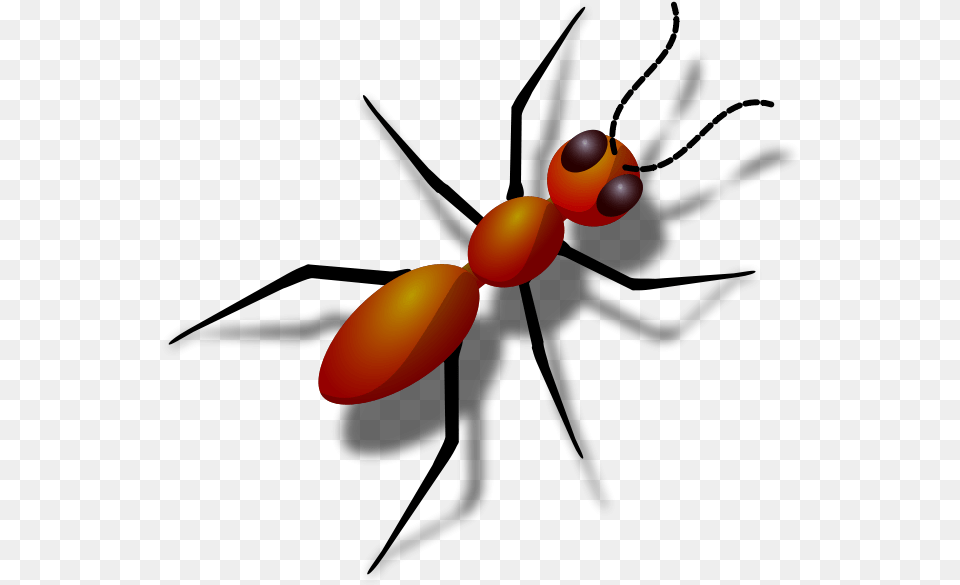 Ant Ants Clipart, Animal Free Png