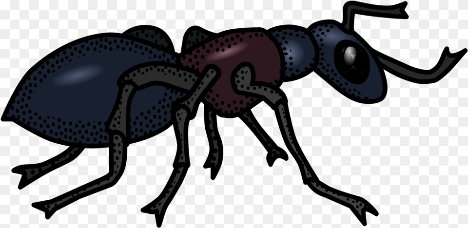 Ant Black And White, Animal, Insect, Invertebrate Free Transparent Png