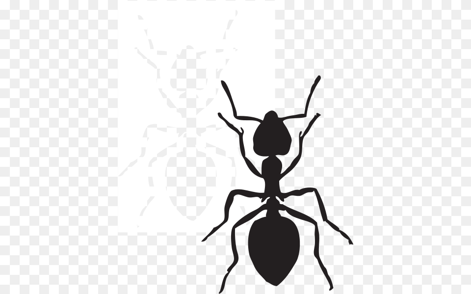Ant Black And White Clipart Carson Dellosa, Animal, Insect, Invertebrate, Person Free Png