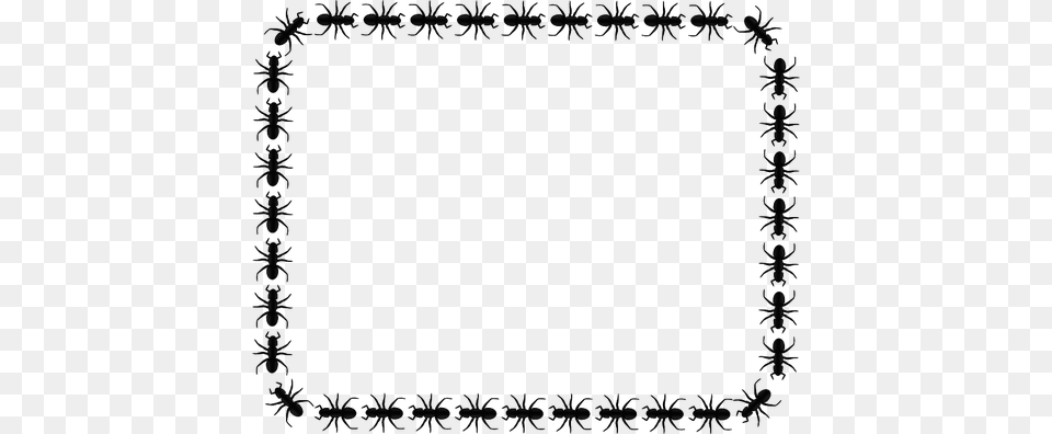 Ant Border Clip Art Clipart Square, Nature, Night, Outdoors Png