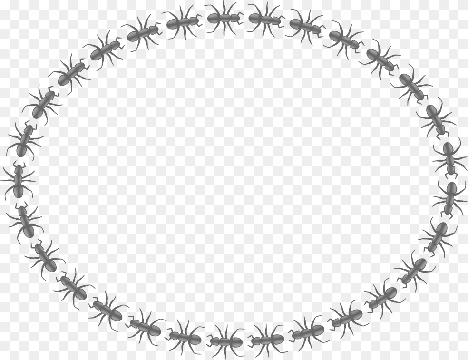 Ant Border Clipart Black And White Two Things Can Destroy Any Relationship, Accessories, Jewelry, Necklace, Oval Free Png Download