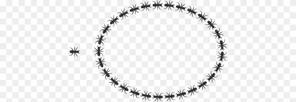 Ant Border Cliparts Free Download Clip Art, Floral Design, Graphics, Pattern, Oval Png