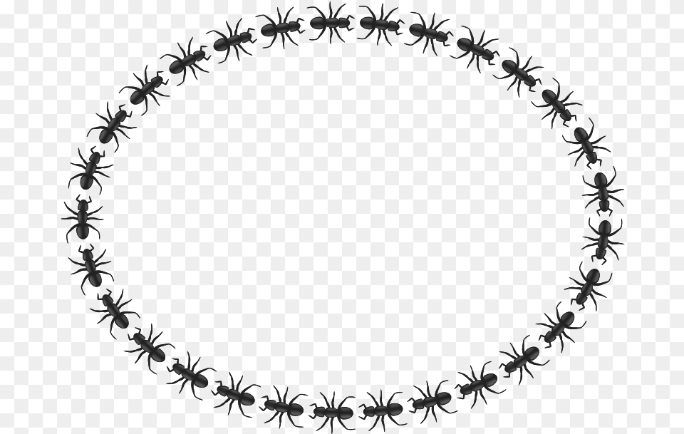 Ant Border Oval Icon Border Circle, Accessories Png
