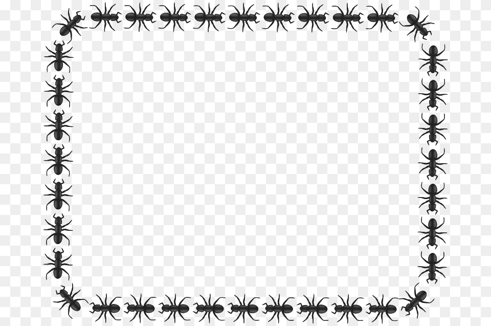 Ant Border Rectangle Clipart Insects Dragonfly Lady Bugs Snails, Blackboard, Art, Floral Design, Graphics Free Png