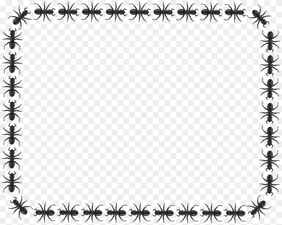 Ant Border Rectangle Icons, Blackboard, Art, Floral Design, Graphics Free Png Download
