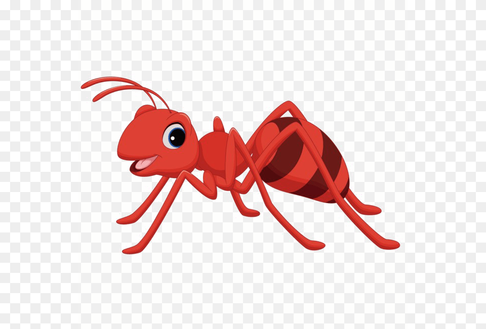 Ant Cartoon, Animal, Insect, Invertebrate Free Transparent Png