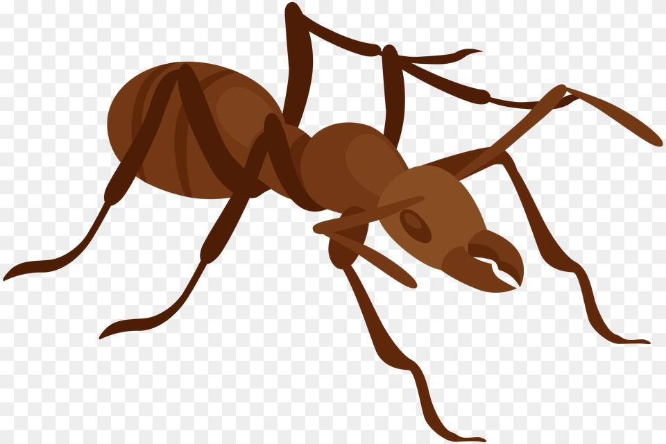 Ant Clip Art, Person Free Png