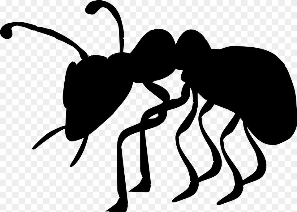 Ant Clip Art, Gray Free Png Download