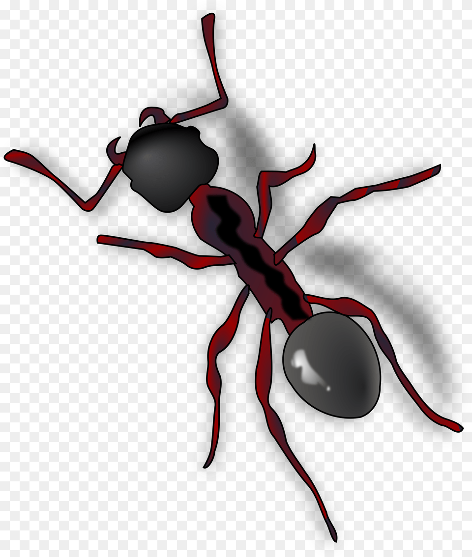 Ant Clip Art, Animal, Insect, Invertebrate, Person Free Transparent Png