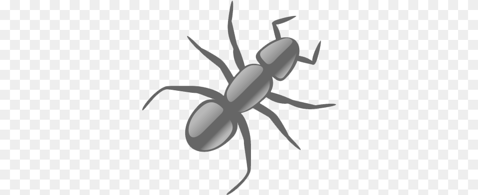 Ant Clip Art, Animal, Insect, Invertebrate Png
