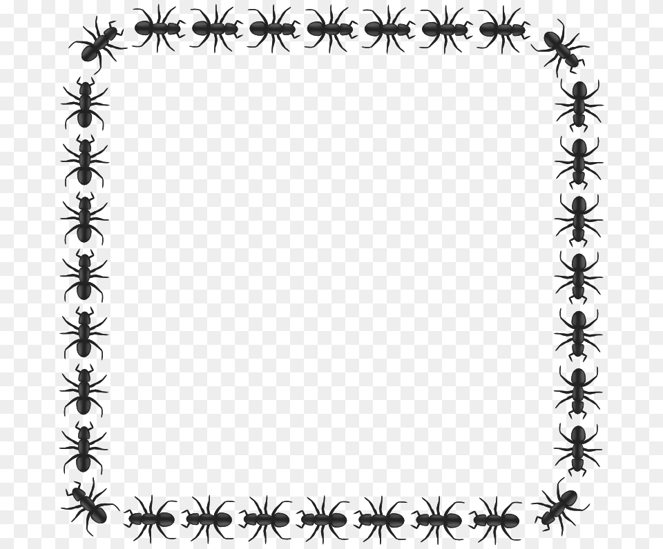 Ant Clip Art, Floral Design, Graphics, Pattern, Animal Free Png