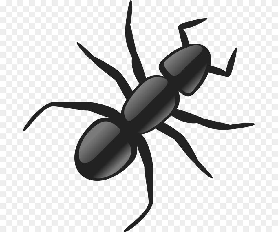 Ant Clip Art, Animal, Fish, Sea Life, Shark Free Transparent Png