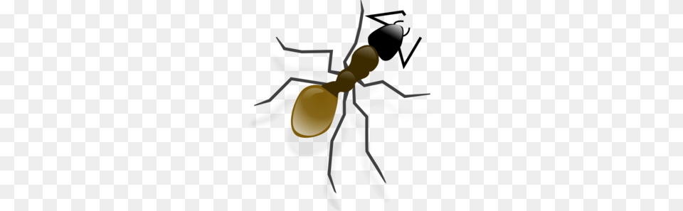 Ant Clip Art, Animal, Insect, Invertebrate Free Png Download