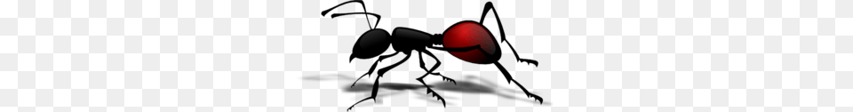 Ant Clip Art, Sphere Png