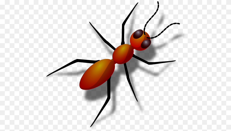 Ant Clip Art, Animal, Bee, Insect, Invertebrate Free Png Download