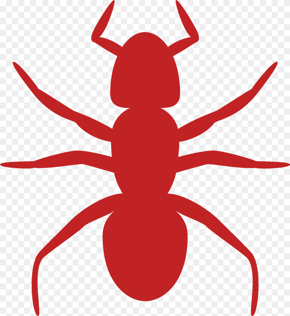 Ant Clip Art, Animal, Insect, Invertebrate, Fish Png Image