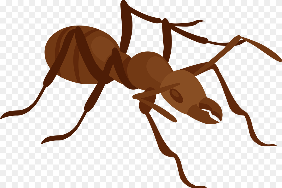 Ant Clip Art Ant Clip Art, Animal, Insect, Invertebrate Free Png