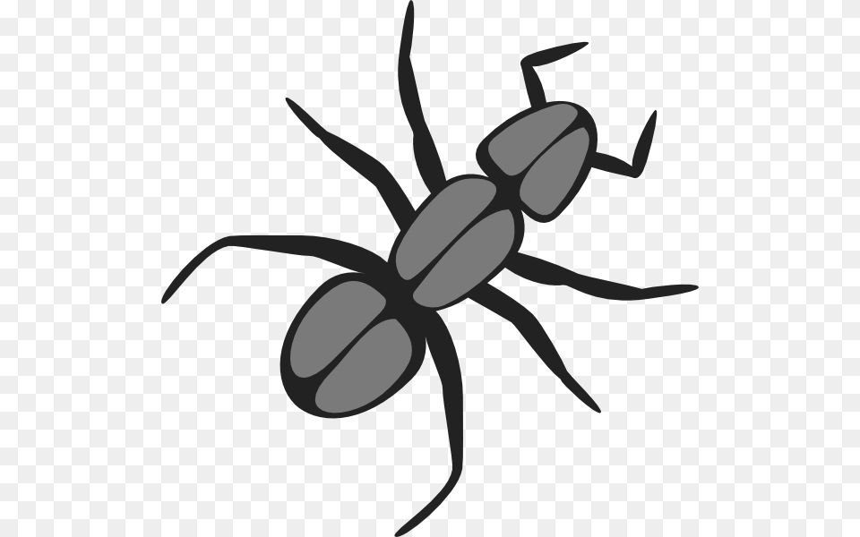Ant Clip Art At Clker Com Vector Ant Clip Art, Animal, Insect, Invertebrate, Kangaroo Free Transparent Png
