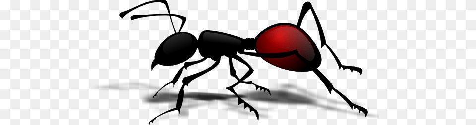Ant Clip Arts For Web, Animal, Insect, Invertebrate Free Transparent Png