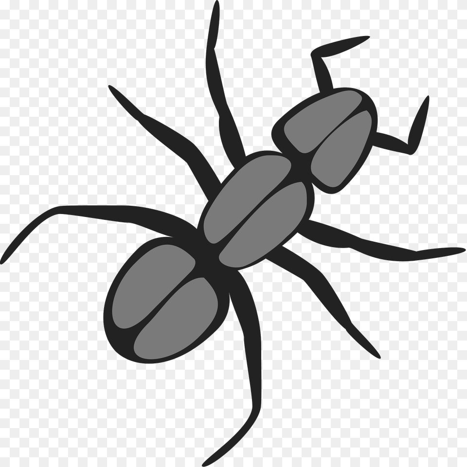 Ant Clipart, Animal Free Transparent Png