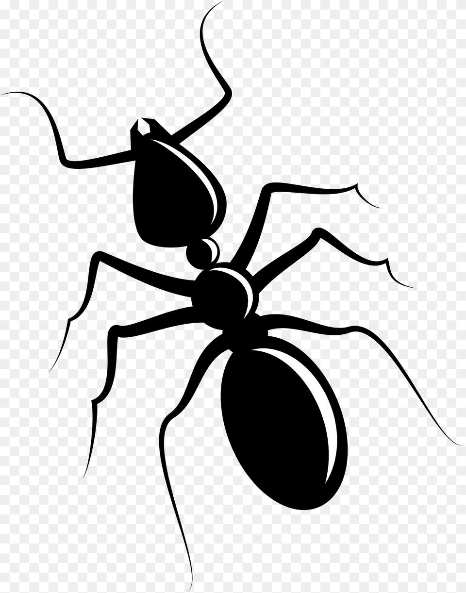 Ant Clipart, Animal, Insect, Invertebrate, Kangaroo Png Image