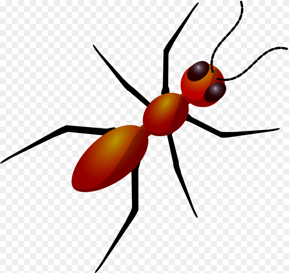 Ant Clipart, Animal, Insect, Invertebrate Free Png Download