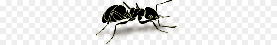 Ant Clipart, Animal, Insect, Invertebrate, Bow Free Png