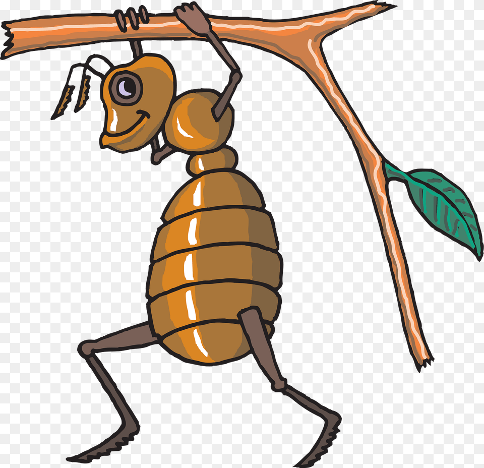 Ant Clipart, Animal, Face, Head, Person Free Transparent Png
