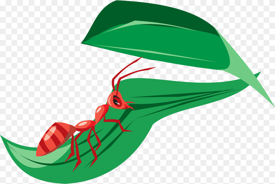 Ant Clipart, Animal, Insect, Invertebrate, Fish Free Png Download