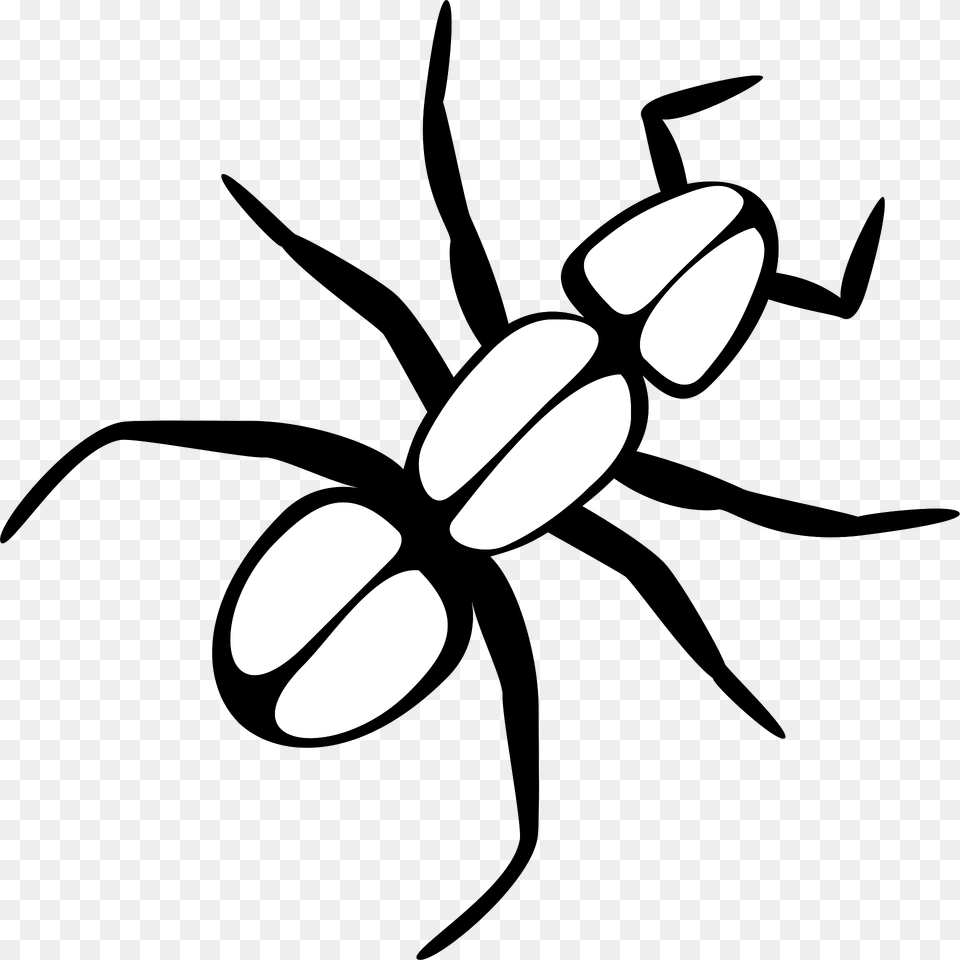 Ant Clipart, Animal, Invertebrate, Spider Free Transparent Png